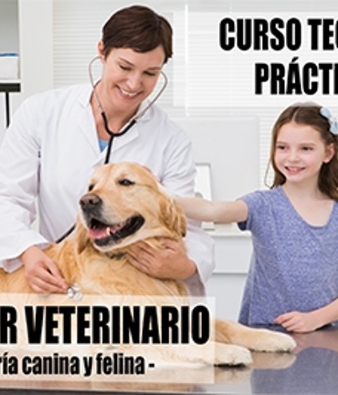 Auxiliar de clínica veterinaria