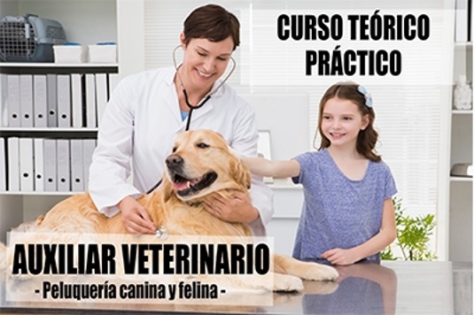 Auxiliar de clínica veterinaria